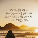 - 에이미 밴더빌트, 작가 - 이미지