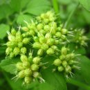 서부대로 이미지