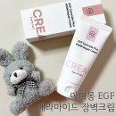 Amimong(아미몽) | 아미몽 EGF 세라마이드 플러스 :: 건조한 피부 EGF 피부 장벽 크림으로 관리