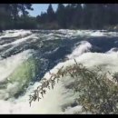 등나무운동장 이미지