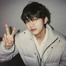 강아지랑 고양이 이미지