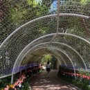 교복놀이 | 경주월드 신상 관람차 [타임라이더] 및 놀이기구 교복데이트 후기