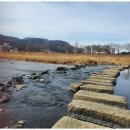 피츠로이가든 이미지