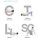 SNPE 바른자세 척추운동&목·어깨 통증테라피 이미지