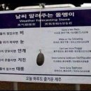 나누면 이미지