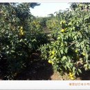 두언농장 이미지