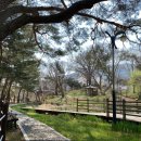 덕동마을회관 이미지