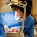 연세매일치과의원 이미지