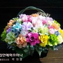 구내기 Daum카페