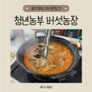 기흥농장 | 용인 맛집 버섯 무한리필 칼국수 <청년농부 버섯농장> 방문후기!