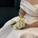 이로운팜 | W20. 웨딩관련 최종 정리