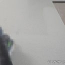 영진광택 이미지