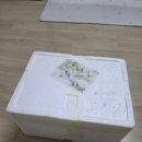 남해농산 | '신선만' 알쭈꾸미 내돈내산 쭈꾸미 샤브샤브 후기