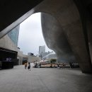 동대문디자인플라자에서 버스커 보다.... 이미지
