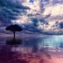 소소한향기 이미지