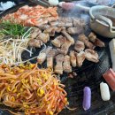 백세투어 이미지