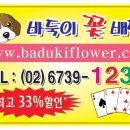 전국꽃배달 Daum카페
