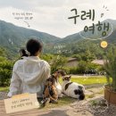 광주홍익여행사주 | [전남/여행 기록] 구례 1박2일 여행 후기 | 소도시 여행 (카페 안음, 피아골 숲숨집, 빙구례,목월빵집)
