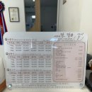 멍멍샵 | 청주 애견미용 잘하는곳, 영운동 애견미용멍멍샵 후기 !