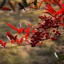 남양여인숙 이미지