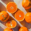 미란농장 이미지