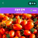 정답은꽃 이미지