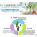 푸딩하우스 이미지
