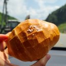 영월역화장실 | 강원도 정선 하이원리조트 가는 길에 들린 영월역 근처 영월소금빵