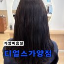 왕비미용실 - 중구 | 강서구미용실 디얼스가양점 왕비실장님 톤다운염색후기