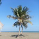 샬롬하우스 이미지