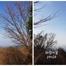 선황사 등산로 네이버블로그