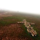 은혜의 뜨락 이미지