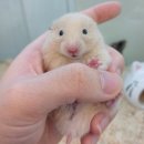[학동중심사 템플스테이 2박3일 ㄹㅇ 찐후기!!]