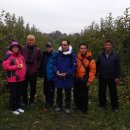 삼태산 농장 이미지