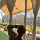 냉면장인임사부평택비전점