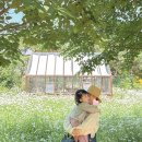 초록마을 남창점 | 천안 이숲 샤스타데이지 만개 22개월 쌍둥이와 주말방문 후기