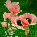 샬롬 - 순천시 | 샬롬