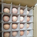 양평샘꼴농장 이미지