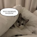 태훈카