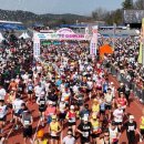 합천불고기 이미지