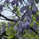 암남공원로 이미지