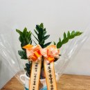 신월동181 이미지