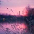 쁘띠앙쥬 이미지