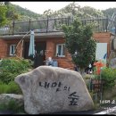 내안의숲 이미지