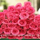 수요일 - 종로구 인사동길 36 | 수요일