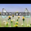 노래 배달 ..... 꽃과 나비 .... 방주연 이미지