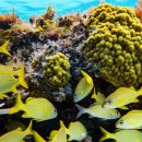 A1 WORKSHOP 이미지