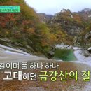 (유)금강산관광 이미지