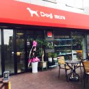 테라스애견미용카페 이미지