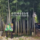 죽순농원식당 | 순천 맛집, 대숲골농원_여수가는길 아이와 가기좋은 뼈째 구워먹는 닭숯불구이집